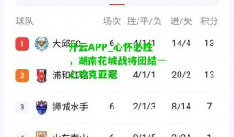 开云APP_心怀必胜，湖南花城战将团结一心攻克亚冠