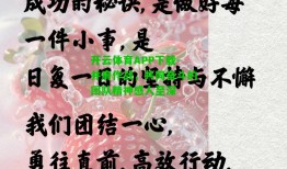 开云体育APP下载-并肩作战，共同奋斗的团队精神感人至深