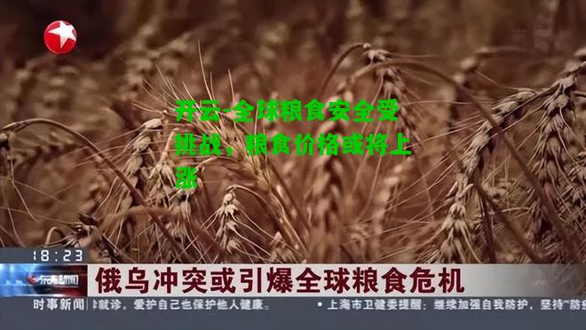 全球粮食安全受挑战，粮食价格或将上涨